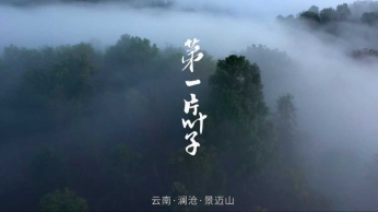 茶葉產品宣傳片《第一片葉子》